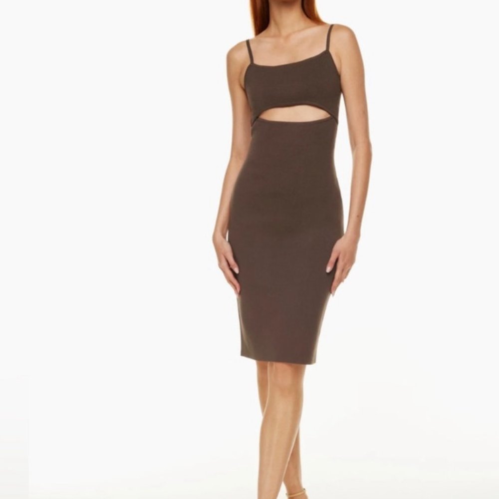 SOLD --- Babaton - Brown Knit Stretch Dress